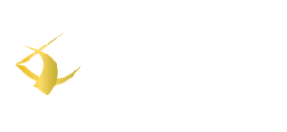 Datadev Solution